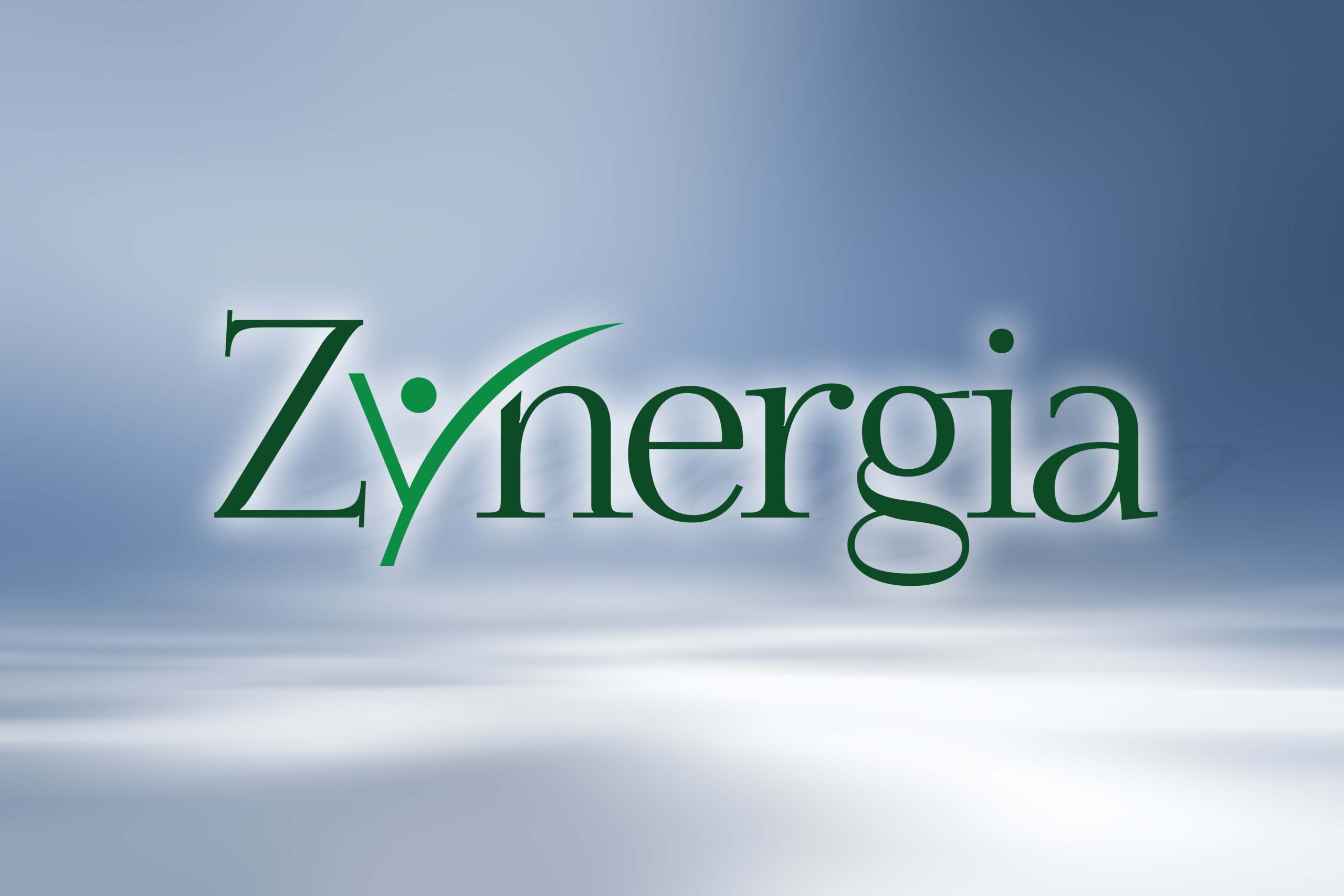 Our Team Zynergia